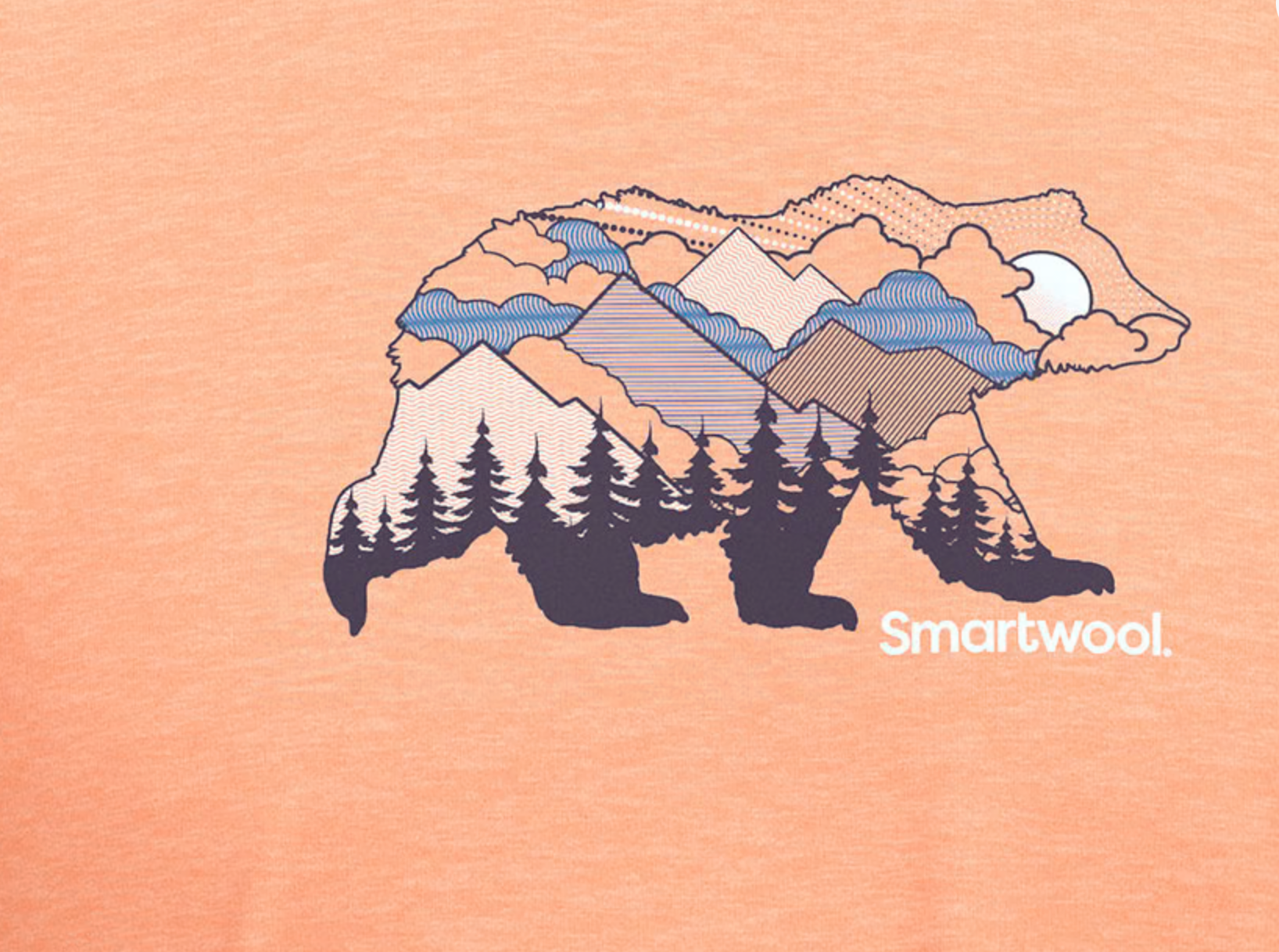 Smartwool Bear View Short Sleeve Graphic Tee