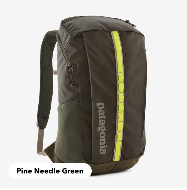 Patagonia Black Hole® Pack 25L